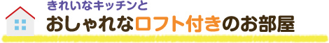 きれいなキッチンとおしゃれなロフト付きのお部屋